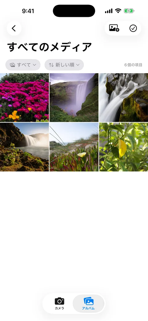 AtticAlbumのメディアグリッド。サムネイル、検索バー、フィルターコントロールが表示されている